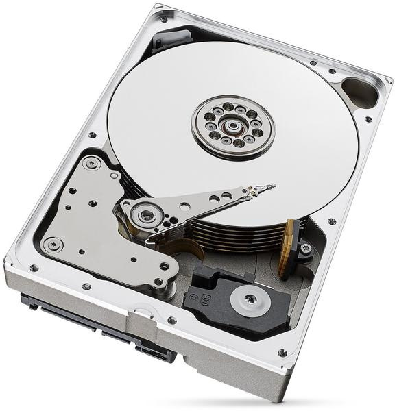 Seagate SkyHawk AI HDD ST10000VE001 10TB