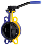 Vlinderklep DN80 model FIG.497B voor industriële systemen