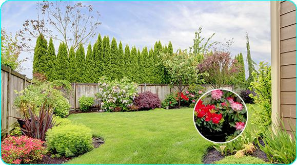 Telecamera IP Ezviz H5 PoE 2K 3MPx