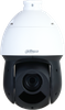 CAMÉRA IP DAHUA SD49216DB-HNY