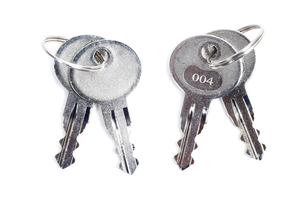 Somfy Axovia 3S IO Pack confort pour portail de 4m à double battant