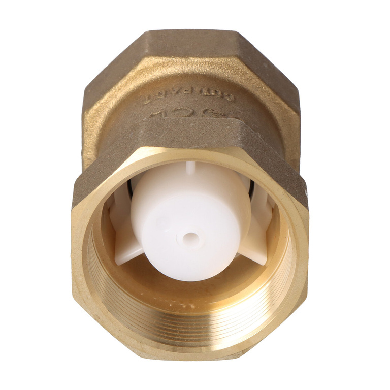 Internal threaded check valve type 601 2 inch