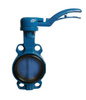 Flange butterfly valve PN16 DN65, body GGG40, ductile iron disc, EPDM sealing, manual lever, SYLAX series