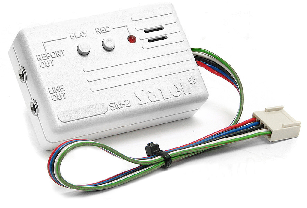 Sintetizzatore vocale SM-2: il moderno strumento di conversione testo-voce