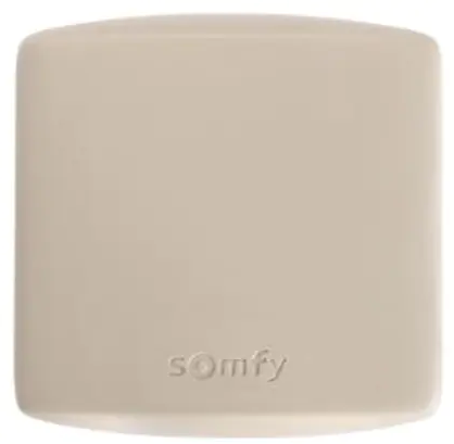 Somfy RTS PRO récepteur d'impulsions universel (1841022)