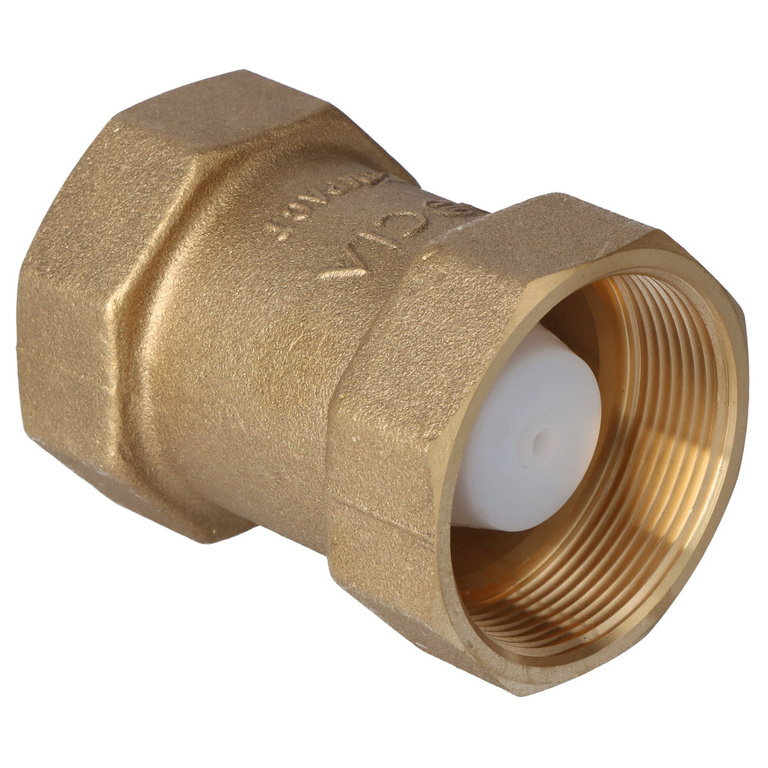 Internal threaded check valve type 601 2 inch