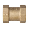 Internal threaded check valve type 601 2 inch