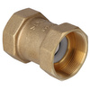 Internal threaded check valve type 601 2 inch