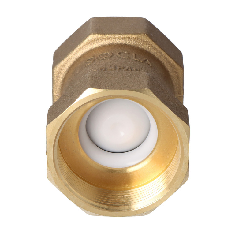 Type 601 terugslagklep met binnendraad 2 inch