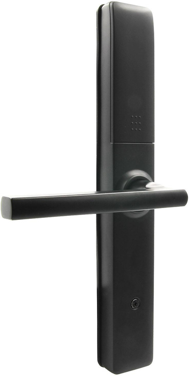 Door handle with access controller EURA ELH-20H4 Black