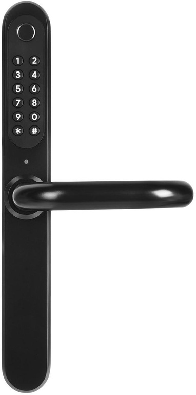 Door handle with access controller EURA ELH-30H4 Black with card reader and code