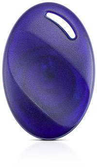 Llavero de proximidad SATEL BR-STD-1