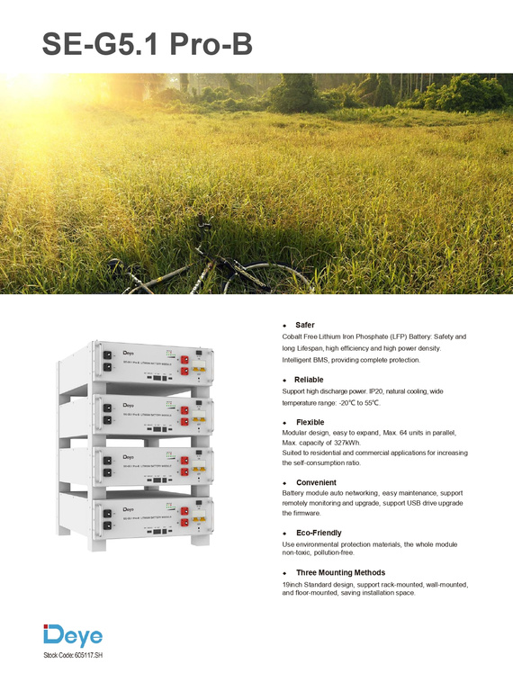 Deye SE-G5.1 PRO-B, batterie LiFePO4 de 5,12 kWh, série basse tension (LV), BMS intégré