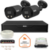 BCS Point IP-Überwachungskit 2x BCS-P-TIP28FWR3L2-Ai2-G Kamera DVR mit 1TB HDD