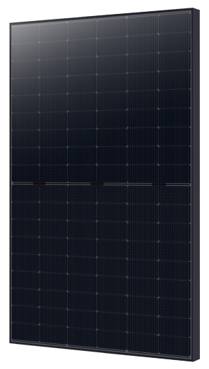 Photovoltaic Module Mono-Si N-type 425Wp 2x54pcs, 182mm, Bifacial, 130cm cables, EVO2, 21.8% efficiency, 20.5kg, Black Pro.